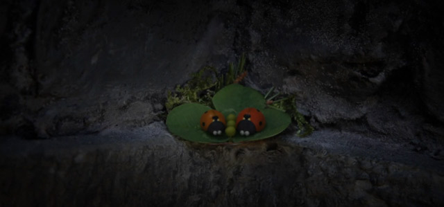 Über Marienkäfer und Schornsteine