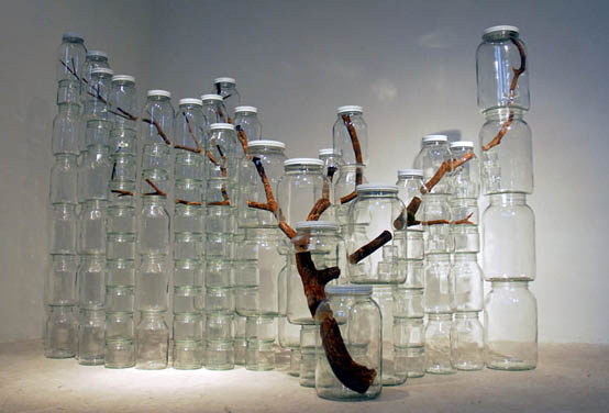 Baum in Glas