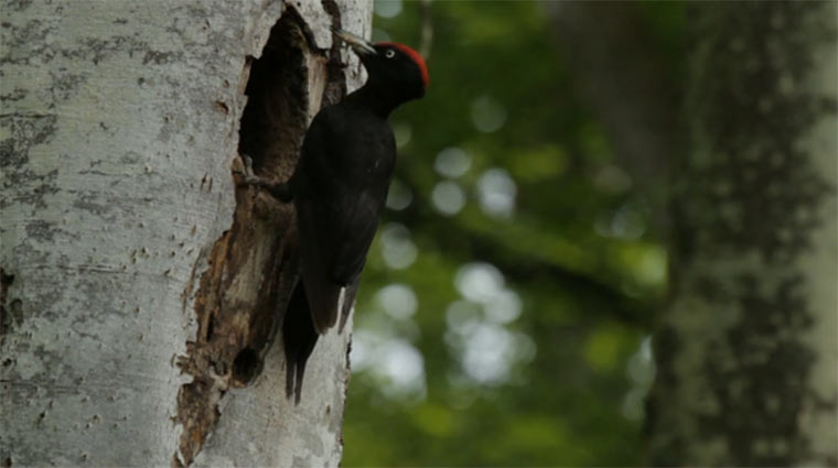 Abschalten: 5 Minuten Natur