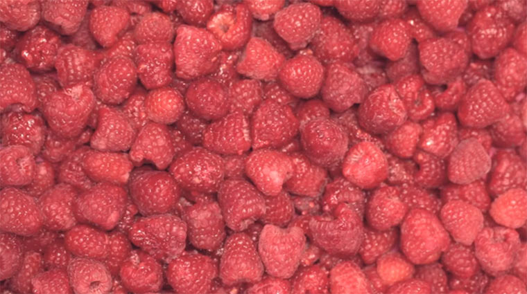 Foodporn: Himbeersoda machen