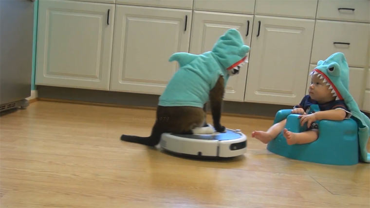 Sharkcat und Sharkbaby haben Spaß