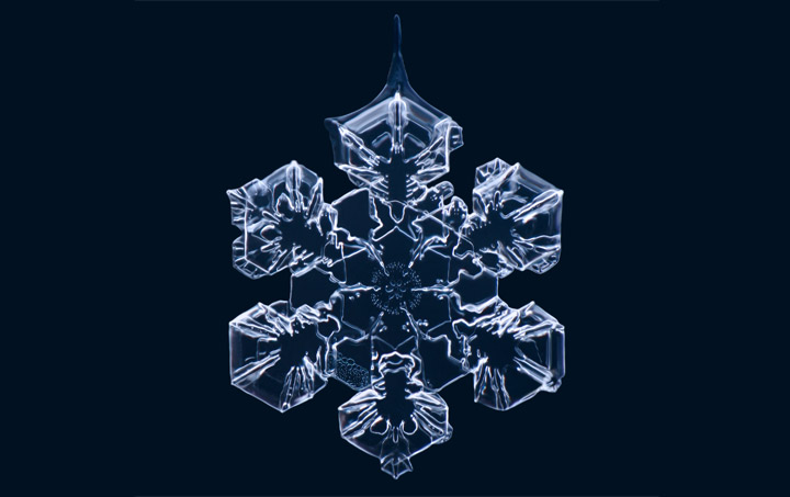 Cool: Makro-Aufnahmen von Schneeflocken