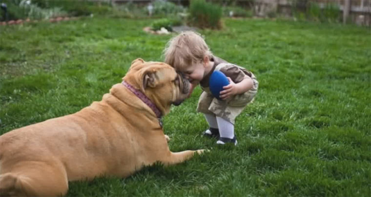 Things Dogs Teach Us