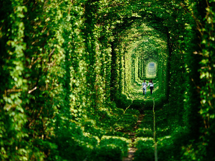Tunnel der Liebe