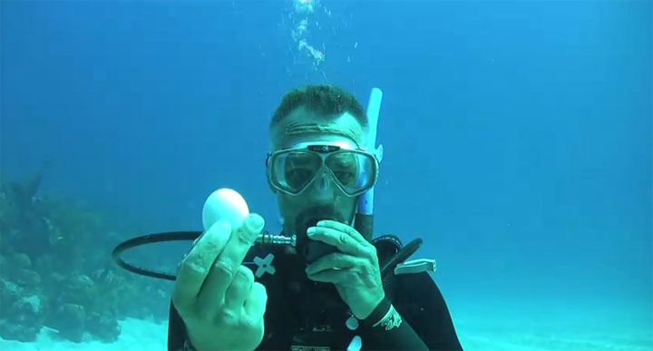 Ein rohes Ei unter Wasser aufschlagen