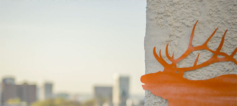 Papierne Flora&Fauna der Stadt