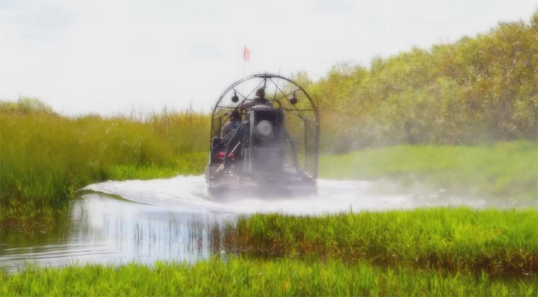 We Are Scientists – Return The Favor