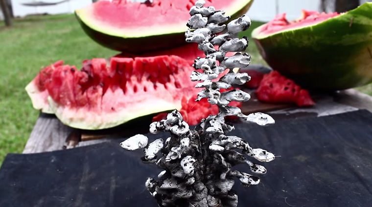 Flüssiges Aluminium in Wassermelone watermelon-aluminium 