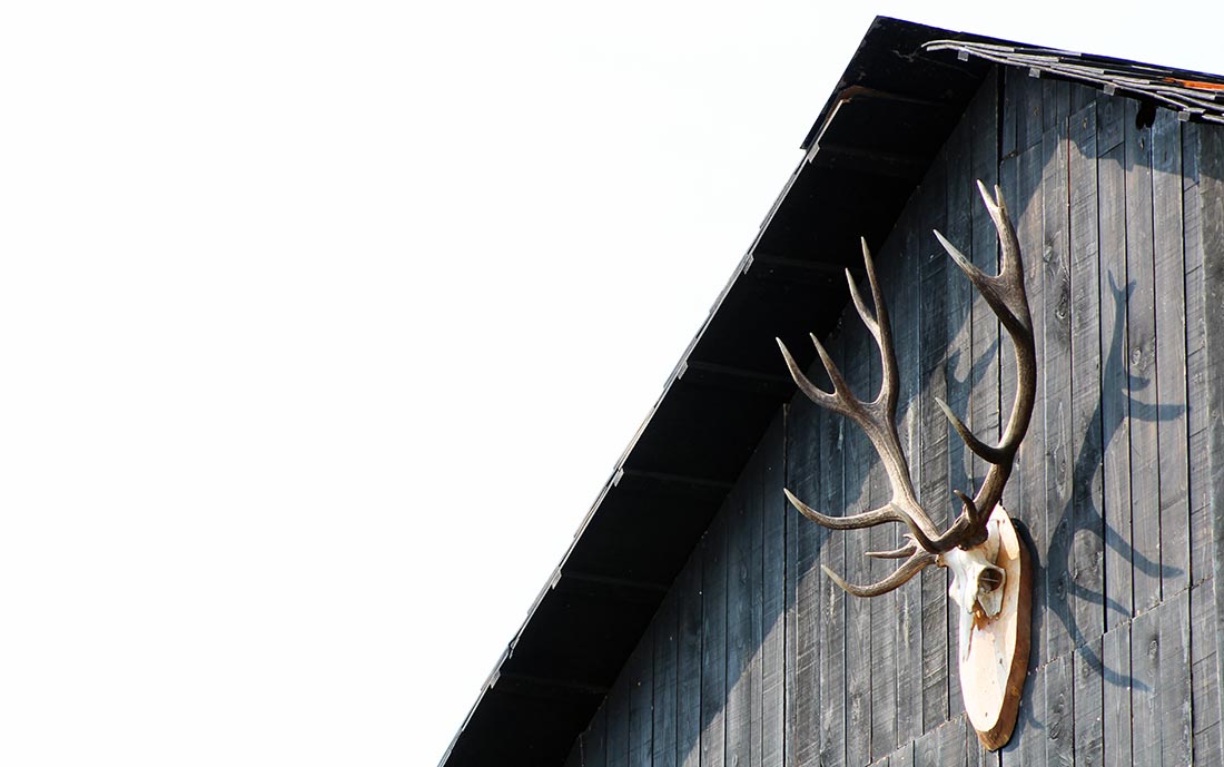 Mein Bericht vom Deichbrand Festival Deichbrand-Festival-2015_32 