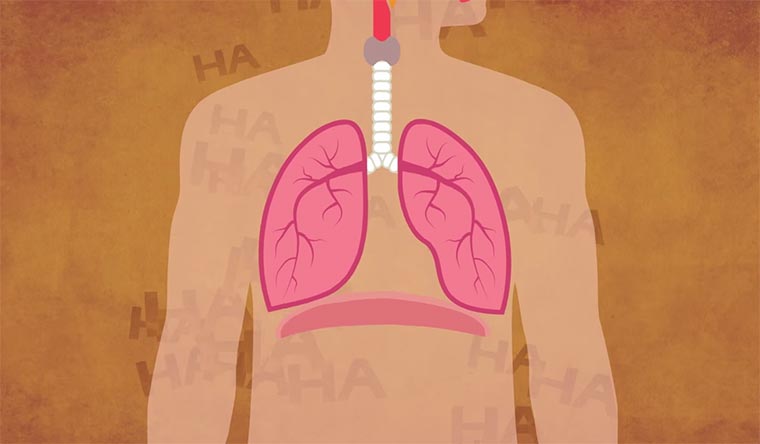 Wieso lachen wir eigentlich? Lachen 