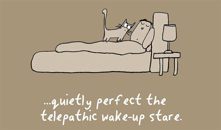 How To Be A Cat how-to-be-a-cat_01 