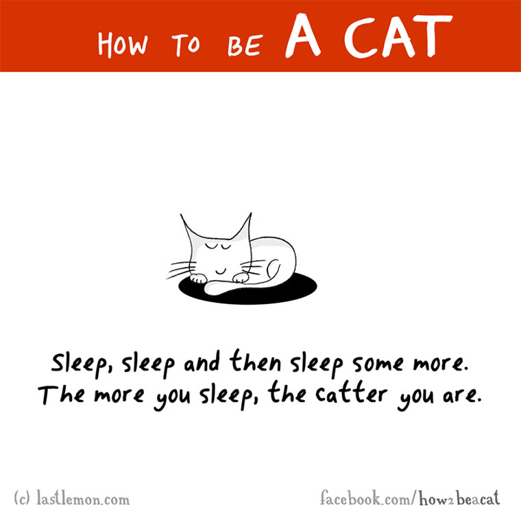 How To Be A Cat how-to-be-a-cat_02 