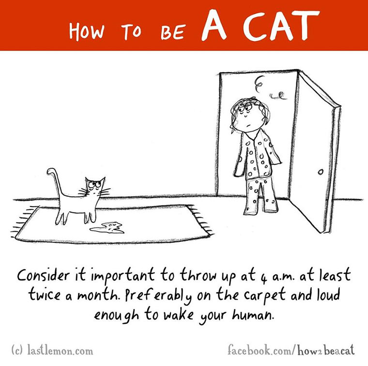 How To Be A Cat how-to-be-a-cat_03 