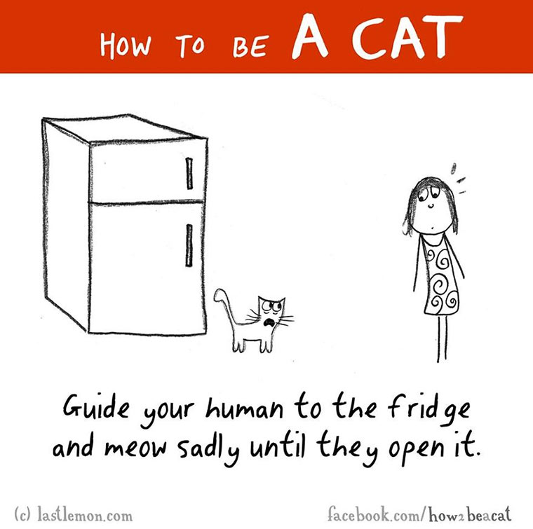 How To Be A Cat how-to-be-a-cat_04 