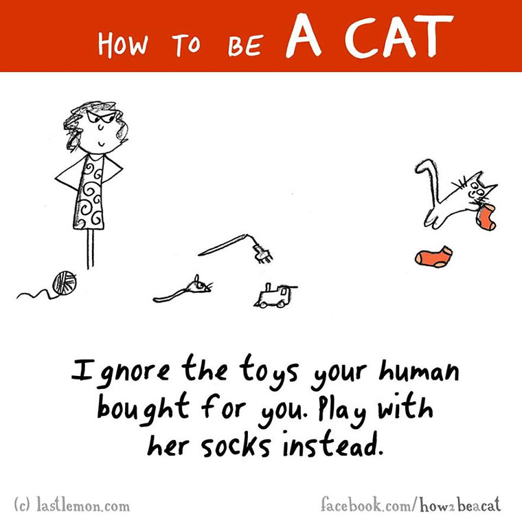 How To Be A Cat how-to-be-a-cat_06 