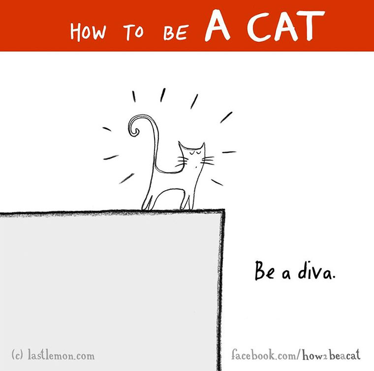 How To Be A Cat how-to-be-a-cat_07 