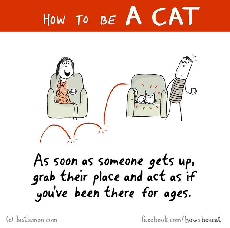 How To Be A Cat how-to-be-a-cat_08 