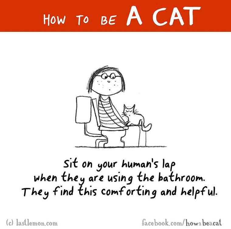 How To Be A Cat how-to-be-a-cat_09 