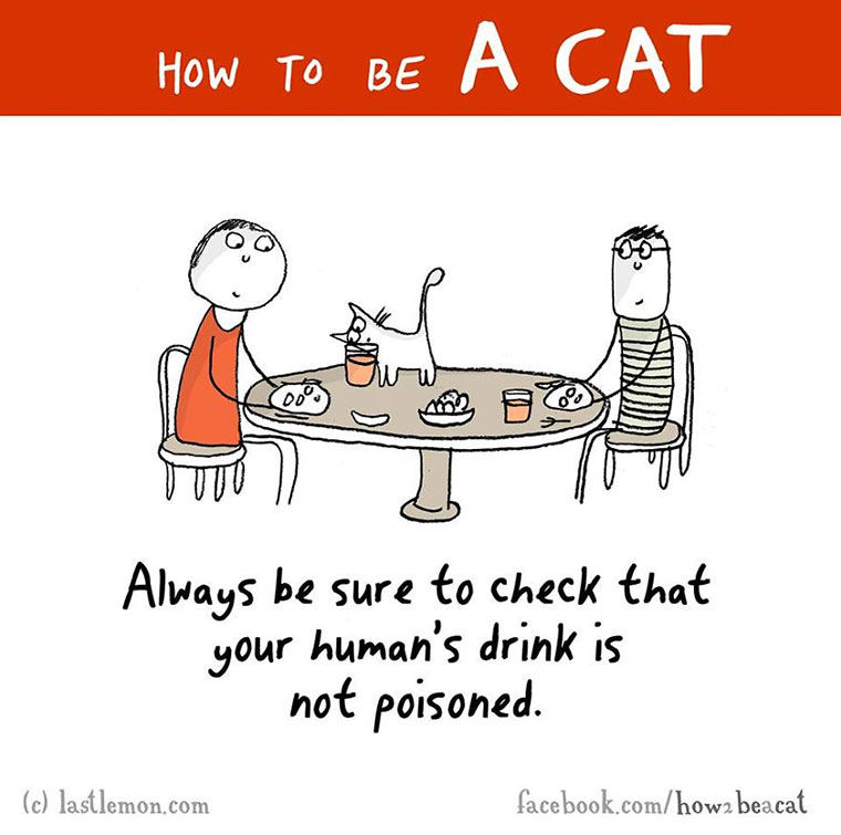 How To Be A Cat how-to-be-a-cat_10 