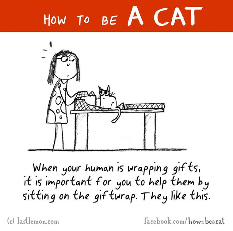 How To Be A Cat how-to-be-a-cat_11 