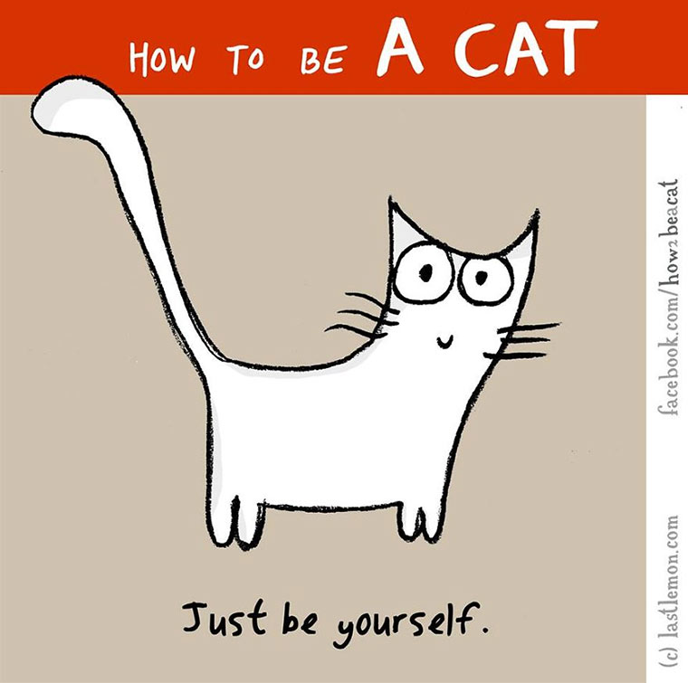 How To Be A Cat how-to-be-a-cat_13 