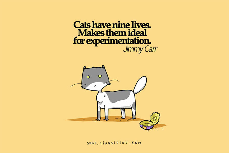 Die Wahrheit über Katzen Cats-illustrations_03 