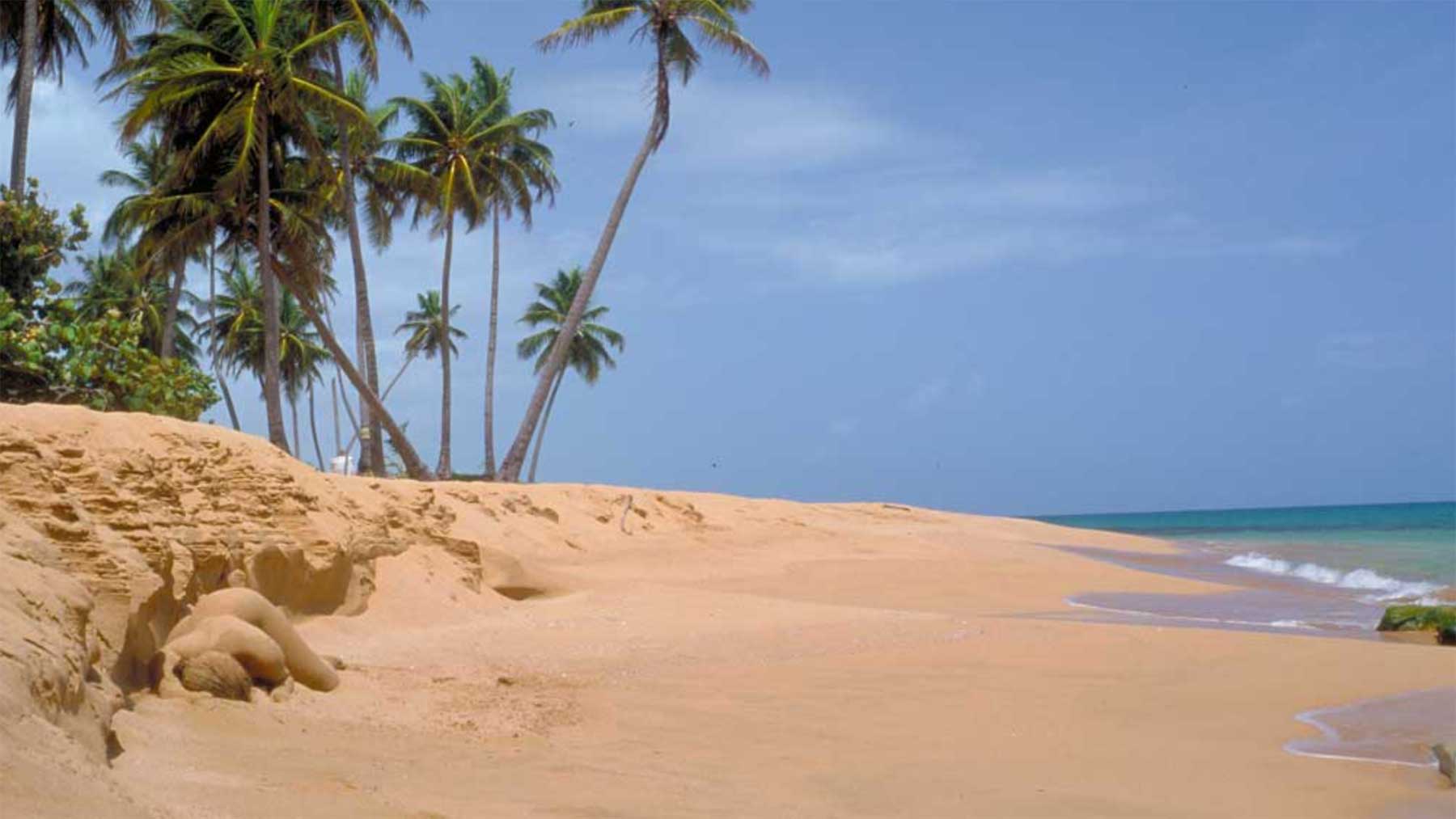 In Landschaften versteckte Körper Filippo-Ioco 