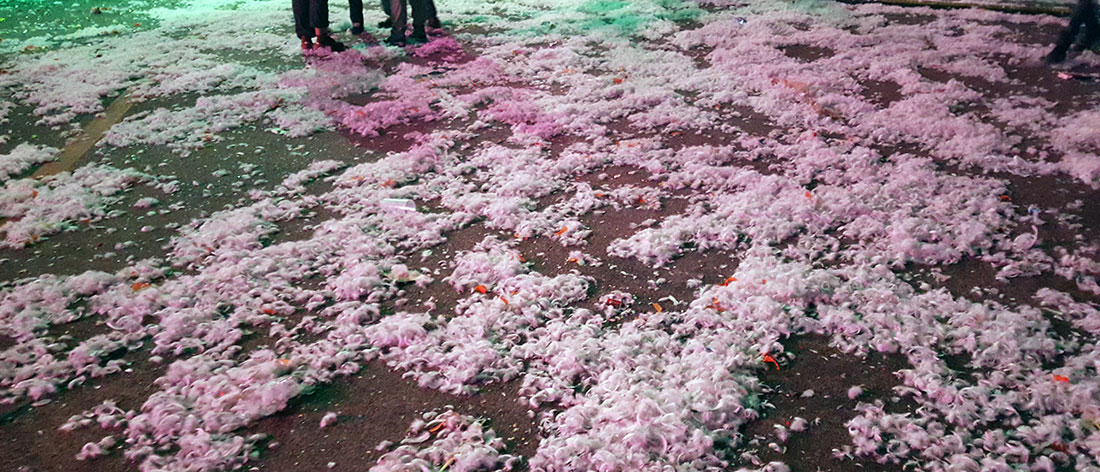 Ich war Festivalreporter beim Lollapalooza Berlin Lollapalooza_28 