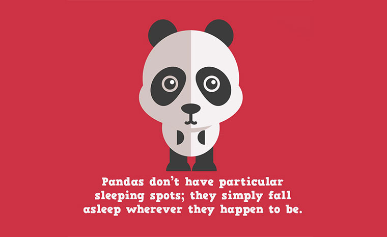 Skurrile Tier-Fakten animal-facts_01 