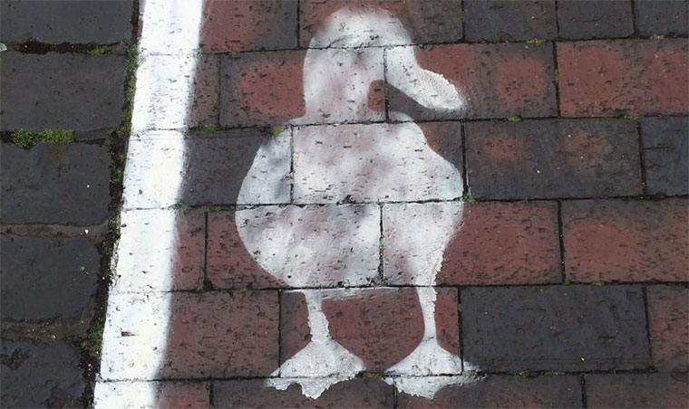 In Wales gibt es Entenwege Duck-Lanes_02 