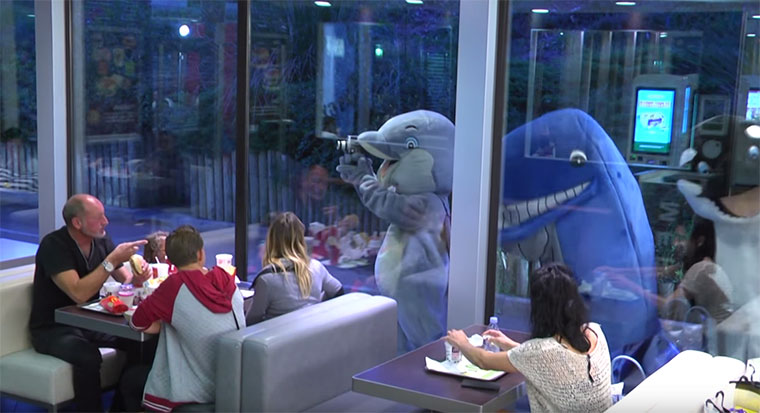 Rémi Gaillard zeigt Tierparks die Mittelflosse