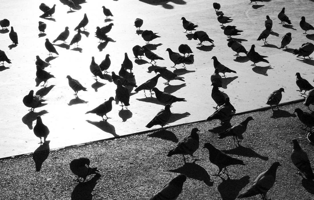 Meine Woche (13) Barcelona-Bericht_16 