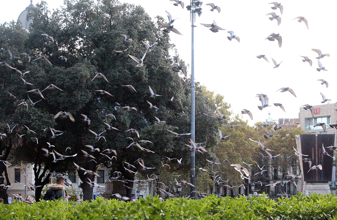 Meine Woche (13) Barcelona-Bericht_19 