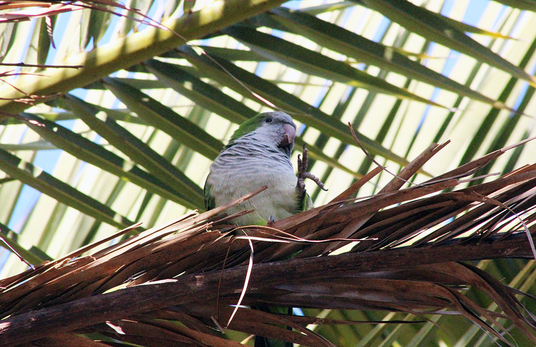 Meine Woche (13) Barcelona-Bericht_47 