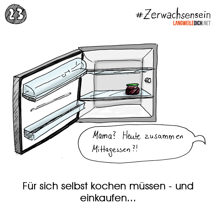 #Zerwachsensein 23: Kühlschrank Zerwachsensein_23 