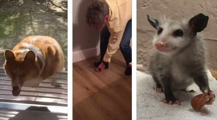 Montagsgefühle montagsgefuehle