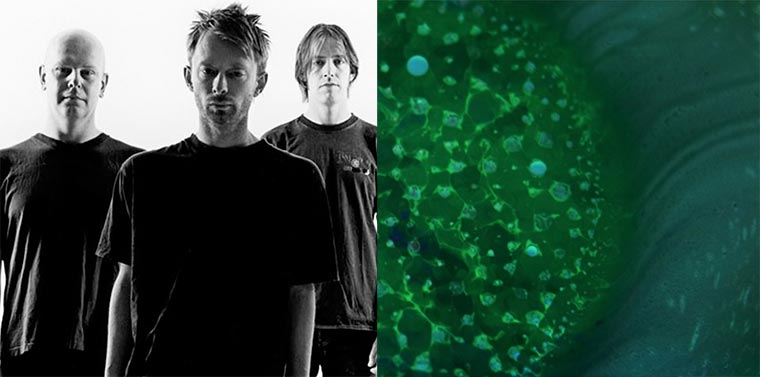 Eigentlich sollten Radiohead den Spectre-Titelsong machen radiohead-spectre 