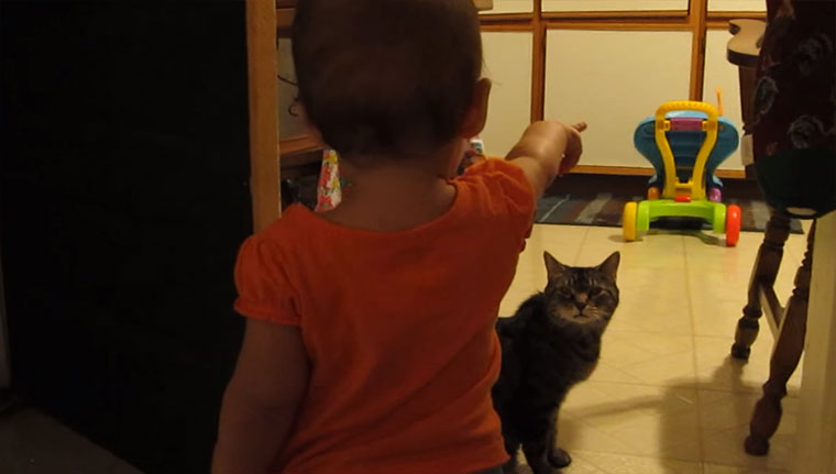 Unterhaltung zwischen Baby und Katze