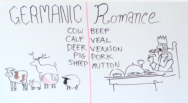 Wieso bedeuten im Englischen mehrere Wörter das Gleiche?