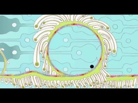 Air – Sing Sang Sung