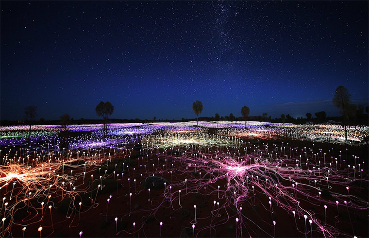 50.000 Lichter in der australischen Wüste Field-of-light_01 