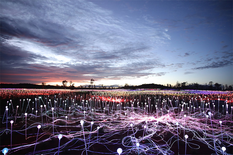 50.000 Lichter in der australischen Wüste Field-of-light_02 