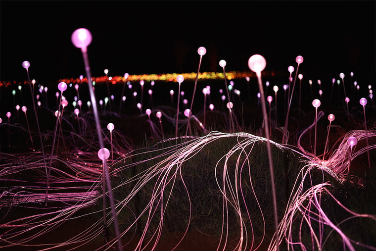 50.000 Lichter in der australischen Wüste Field-of-light_04 