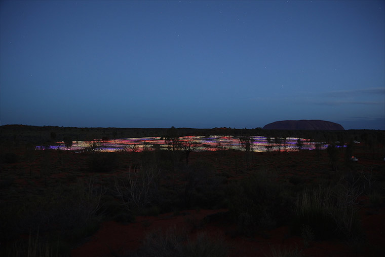 50.000 Lichter in der australischen Wüste Field-of-light_05 