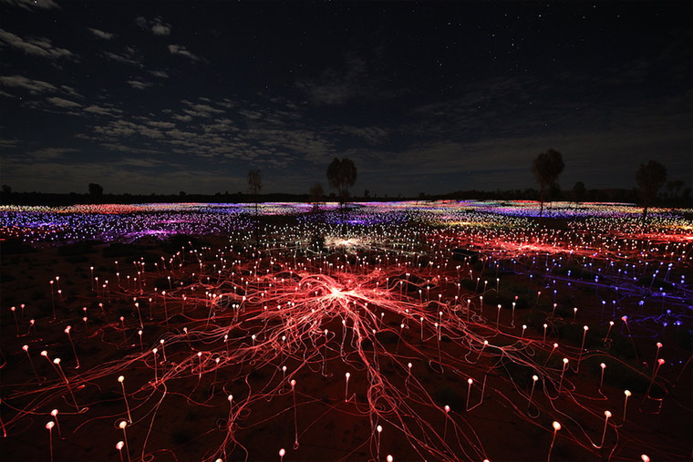 50.000 Lichter in der australischen Wüste Field-of-light_07 