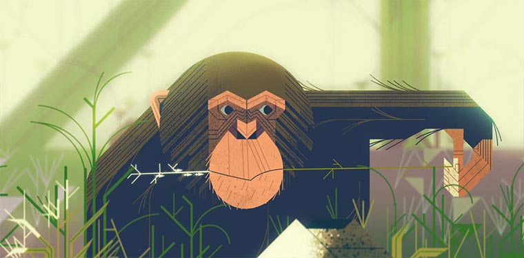 Die Schönheit von Kreisen beauty-of-circles 