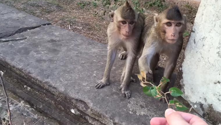 1 Sekunde pro Tag einer Weltreise 1-second-every-day 