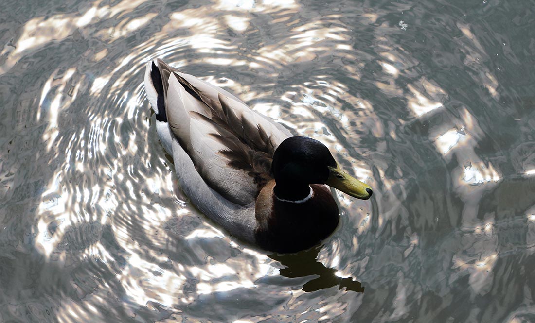 Meine Woche (41) Meine-Woche-41_53