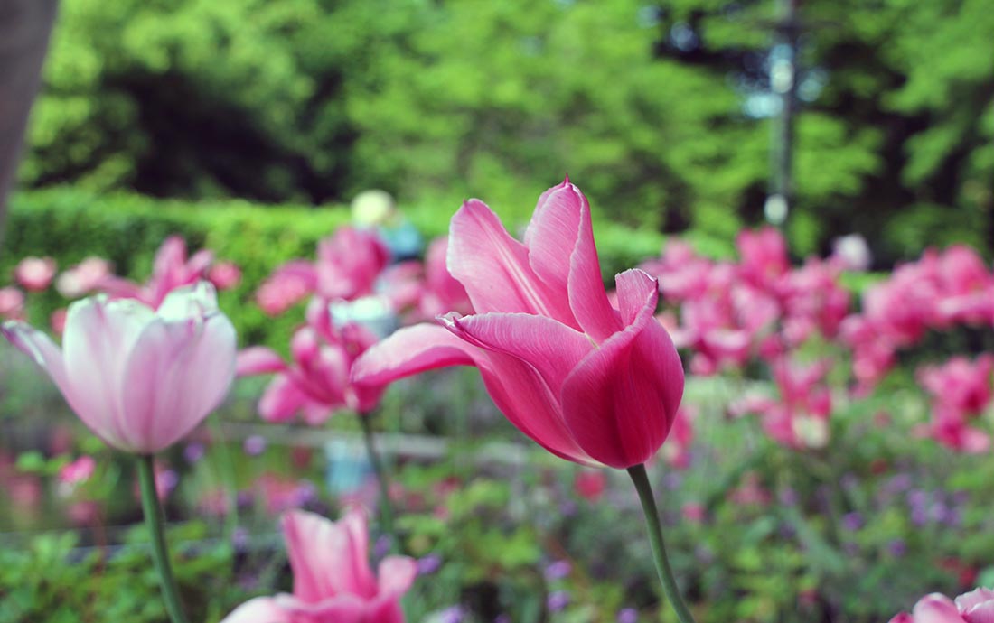 Meine Woche (41) Meine-Woche-41_58