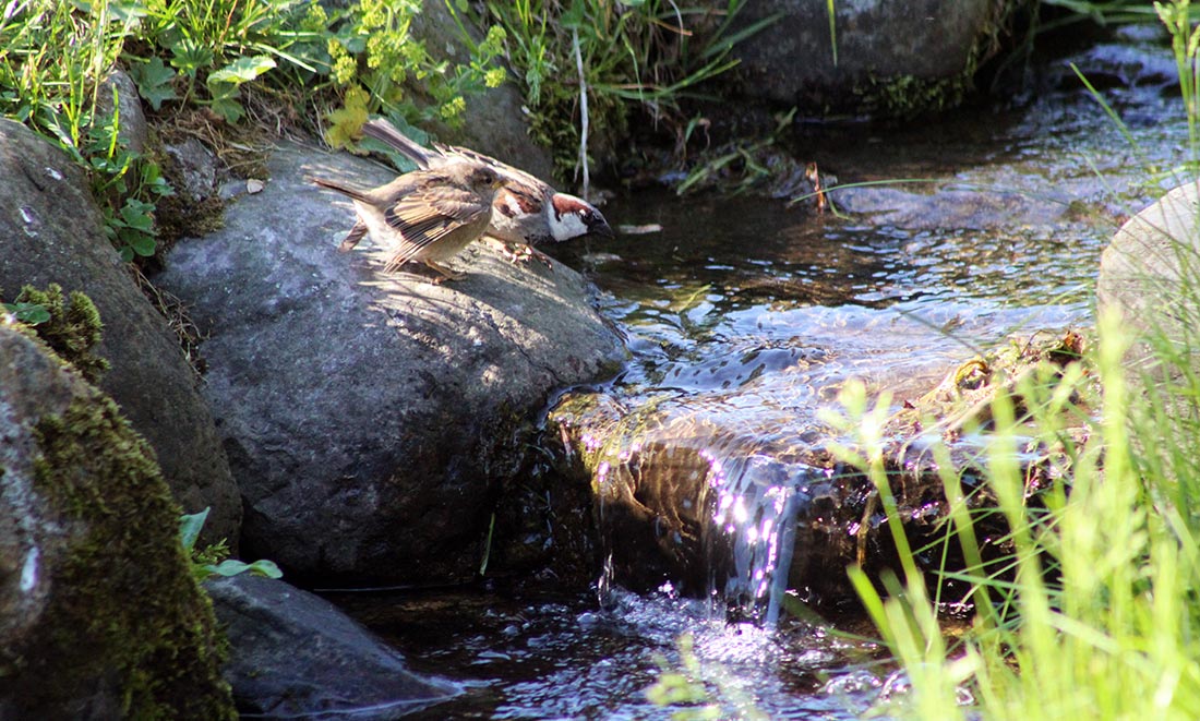 Meine Woche (41) Meine-Woche-41_87